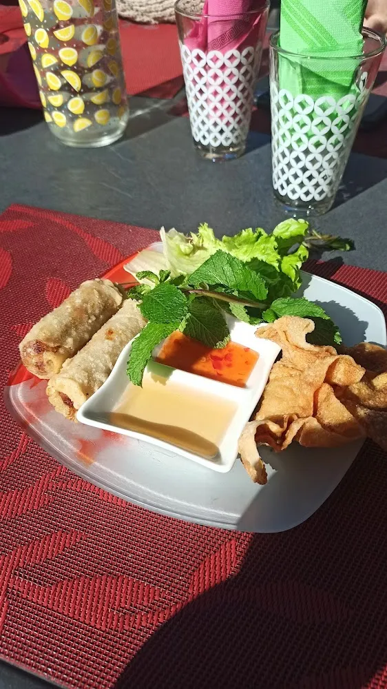 Samoussa Et Nems Au Poulet